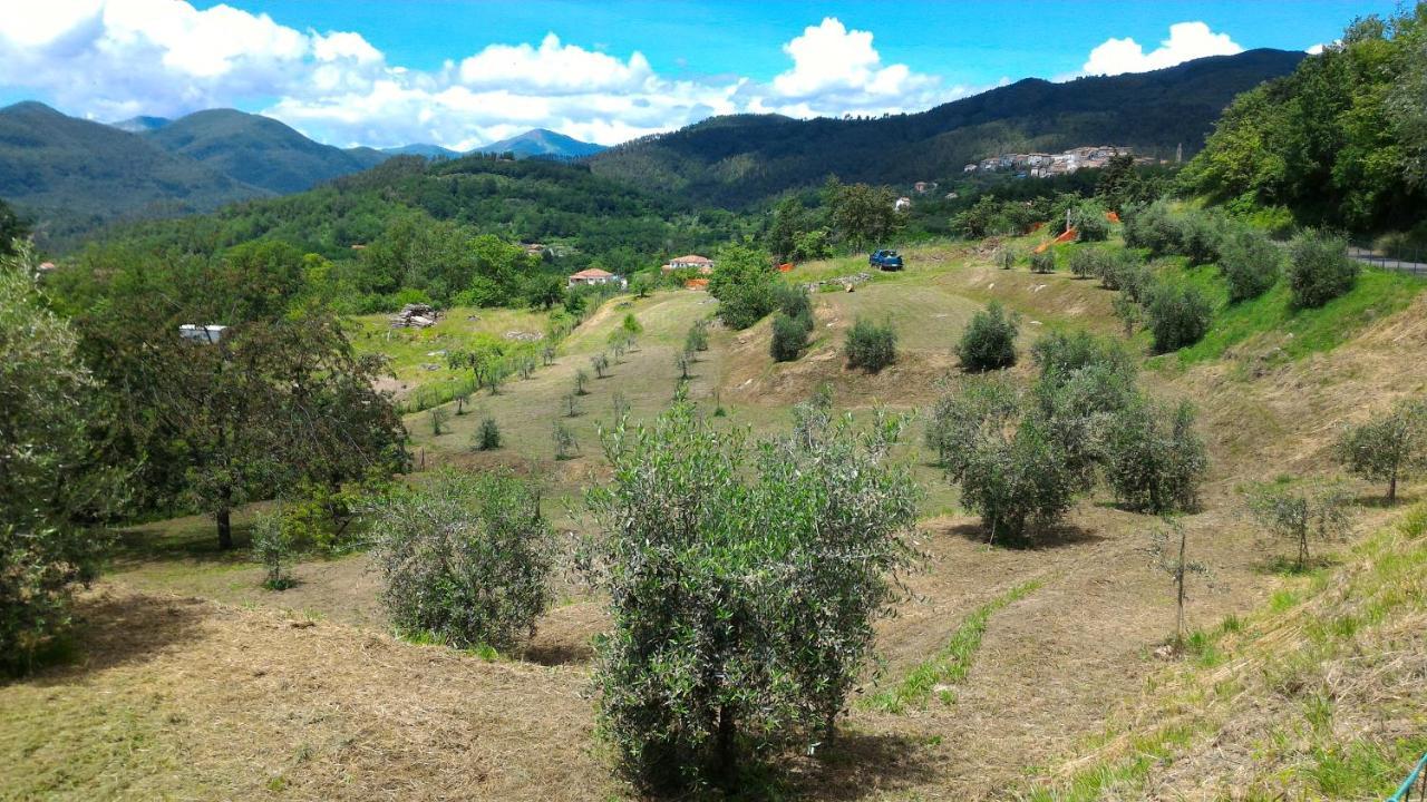 Agriturismo Tenuta Valletti. Sesta Godano Luaran gambar